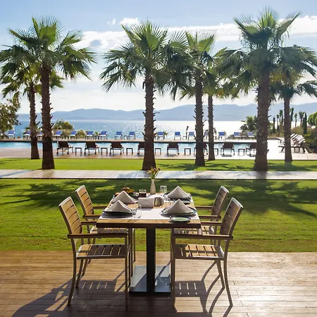 On'live Hotel 5*